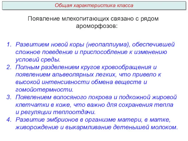 Появление млекопитающих связано с рядом ароморфозов: Развитием новой коры (неопаллиума),