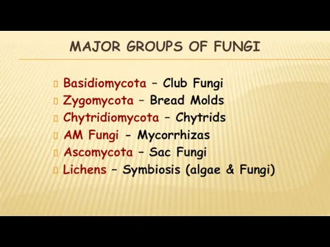 MAJOR GROUPS OF FUNGI Basidiomycota – Club Fungi Zygomycota – Bread Molds Chytridiomycota