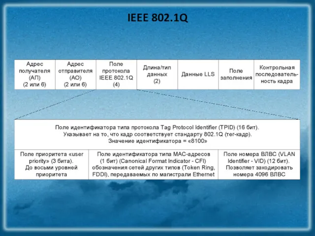 IEEE 802.1Q