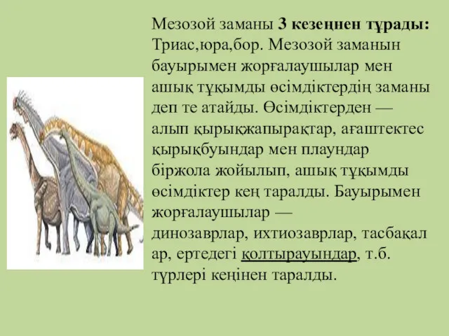 Мезозой заманы 3 кезеңнен тұрады: Триас,юра,бор. Мезозой заманын бауырымен жорғалаушылар