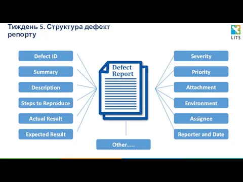 Тиждень 5. Структура дефект репорту