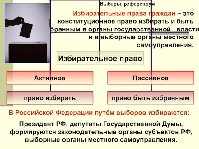 Выборы, референдум Избирательные права граждан – это конституционное право избирать