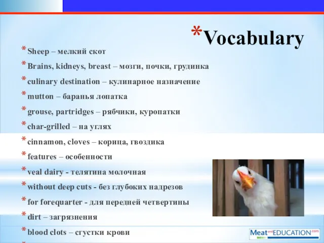Vocabulary Sheep – мелкий скот Brains, kidneys, breast – мозги, почки, грудинка culinary