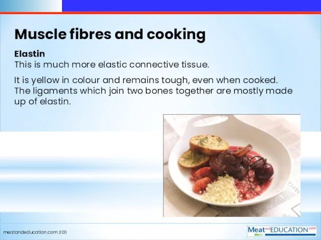 meatandeducation.com 2011 Muscle fibres and cooking Elastin This is much more elastic connective