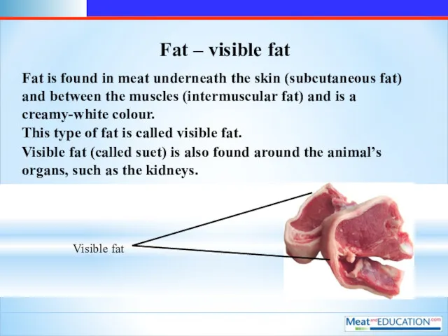 Fat – visible fat Fat is found in meat underneath the skin (subcutaneous