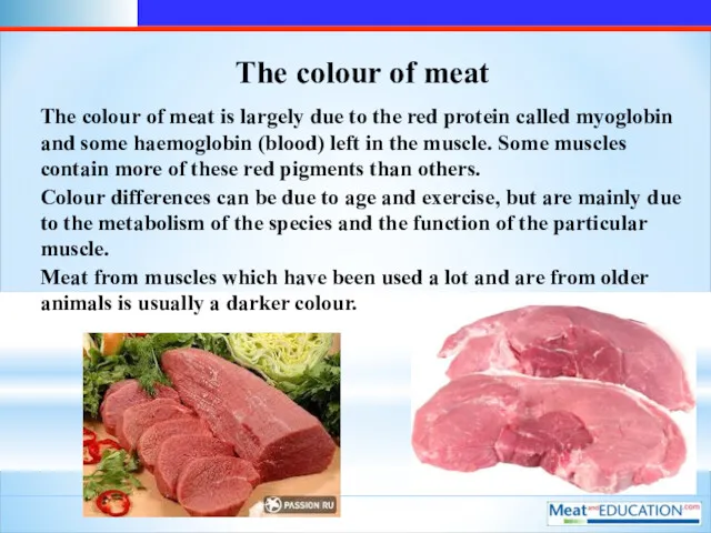 The colour of meat The colour of meat is largely due to the