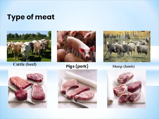 Type of meat Cattle (beef) Pigs (pork) Sheep (lamb)
