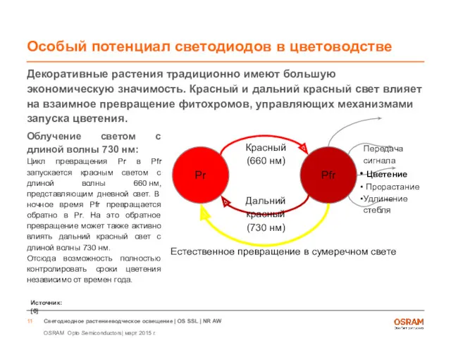 Особый потенциал светодиодов в цветоводстве Декоративные растения традиционно имеют большую