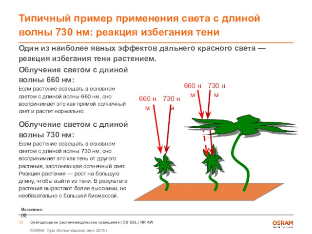 Типичный пример применения света с длиной волны 730 нм: реакция избегания тени Один