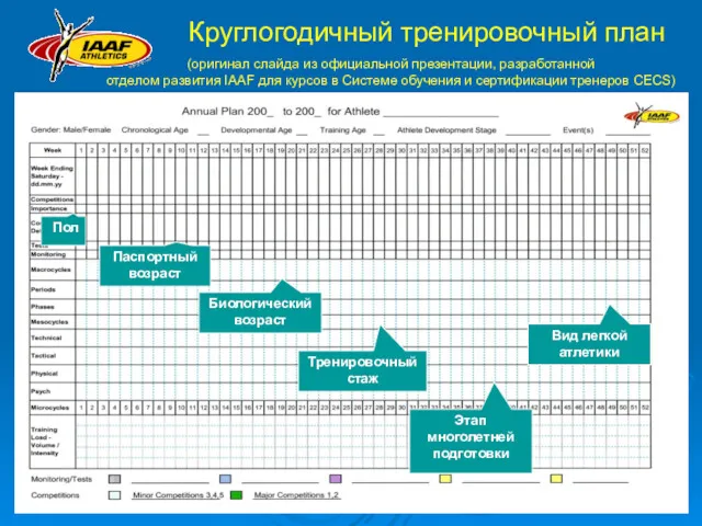 Круглогодичный тренировочный план (оригинал слайда из официальной презентации, разработанной отделом