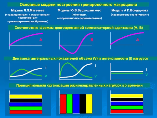 Основные модели построения тренировочного макроцикла Модель Л.П.Матвеева («традиционная», «классическая», «комплексная»