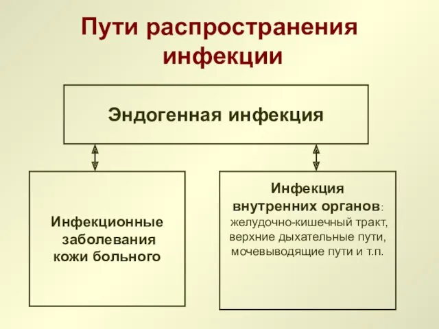 Пути распространения инфекции Эндогенная инфекция Инфекционные заболевания кожи больного Инфекция внутренних органов: желудочно-кишечный