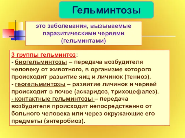 Гельминтозы это заболевания, вызываемые паразитическими червями (гельминтами) 3 группы гельминтоз: