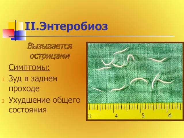 II.Энтеробиоз Вызывается острицами Симптомы: Зуд в заднем проходе Ухудшение общего состояния