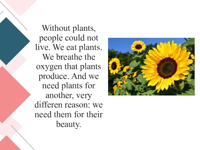 Without plants, people could not live. We eat plants. We