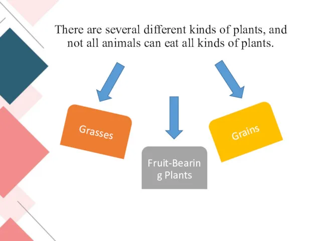 There are several different kinds of plants, and not all