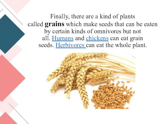 Finally, there are a kind of plants called grains which