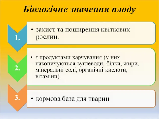 Біологічне значення плоду