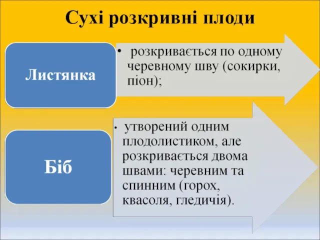 Сухі розкривні плоди