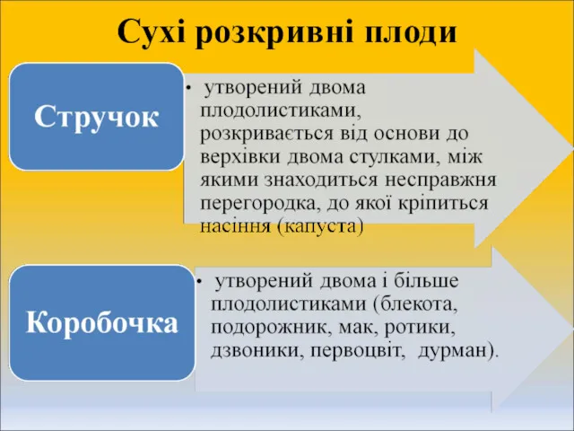 Сухі розкривні плоди