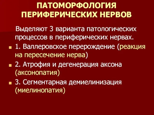 ПАТОМОРФОЛОГИЯ ПЕРИФЕРИЧЕСКИХ НЕРВОВ Выделяют 3 варианта патологических процессов в периферических