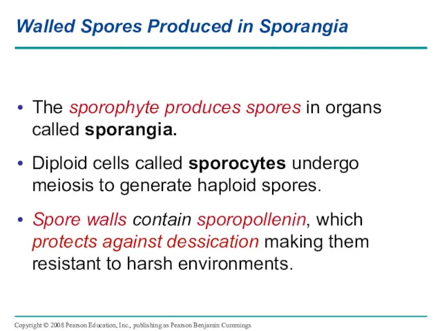 Walled Spores Produced in Sporangia The sporophyte produces spores in