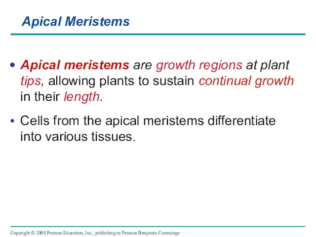 Apical Meristems Apical meristems are growth regions at plant tips,
