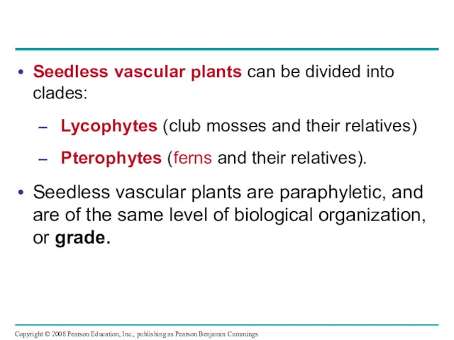 Seedless vascular plants can be divided into clades: Lycophytes (club