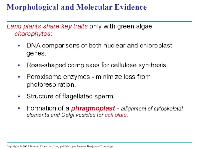 Morphological and Molecular Evidence Land plants share key traits only