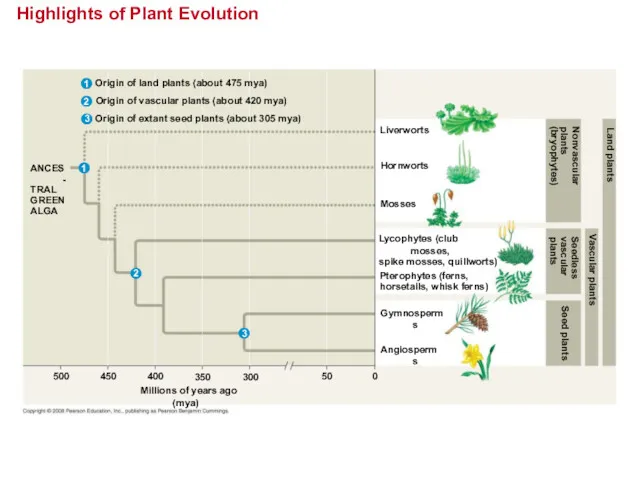 Highlights of Plant Evolution Origin of land plants (about 475