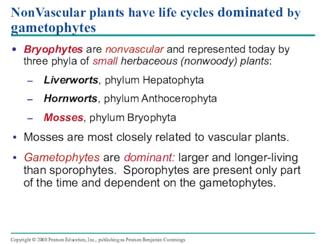 NonVascular plants have life cycles dominated by gametophytes Bryophytes are