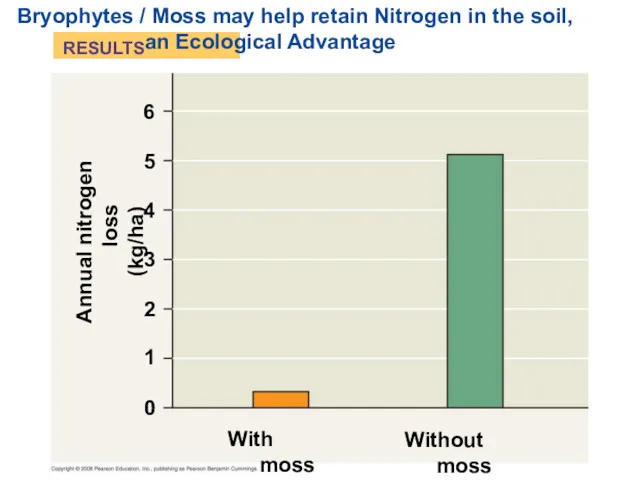 Bryophytes / Moss may help retain Nitrogen in the soil,