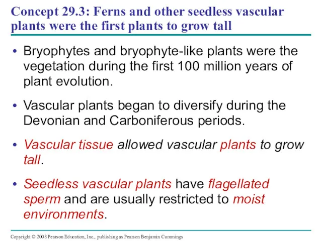 Concept 29.3: Ferns and other seedless vascular plants were the