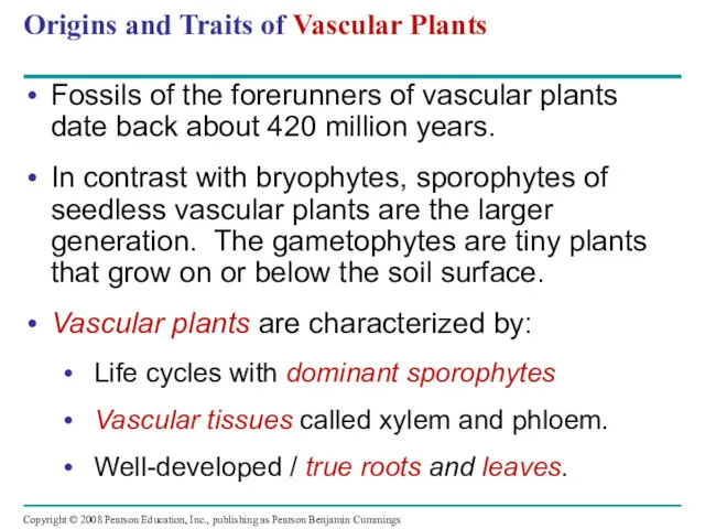 Origins and Traits of Vascular Plants Fossils of the forerunners