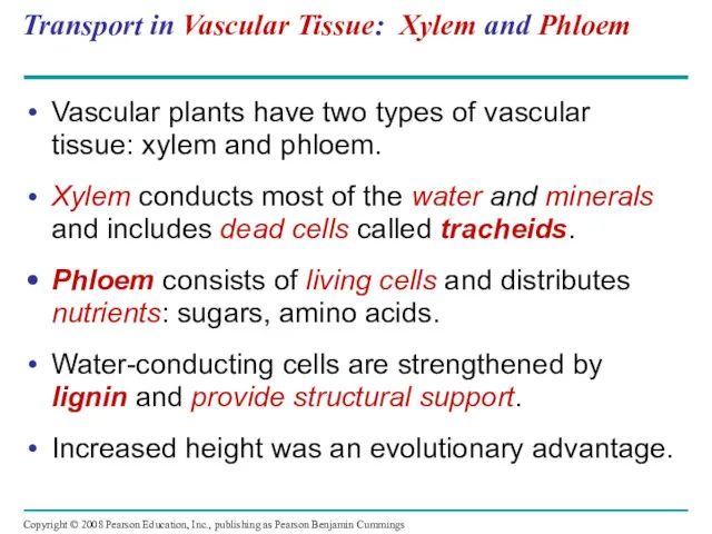Transport in Vascular Tissue: Xylem and Phloem Vascular plants have