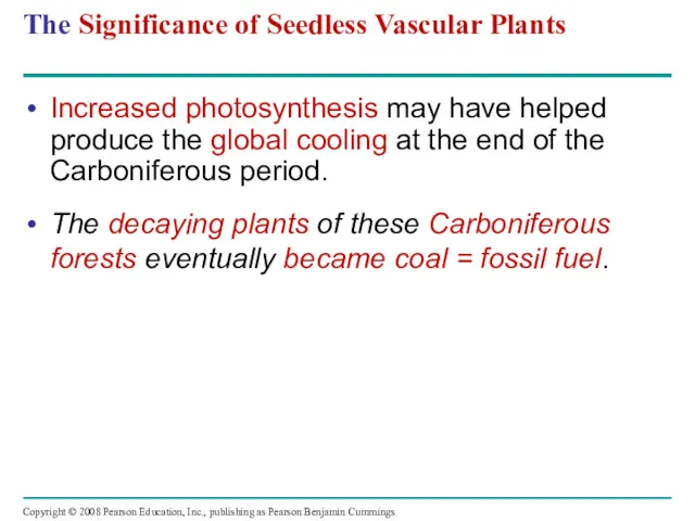The Significance of Seedless Vascular Plants Increased photosynthesis may have