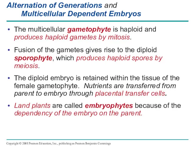 Alternation of Generations and Multicellular Dependent Embryos The multicellular gametophyte