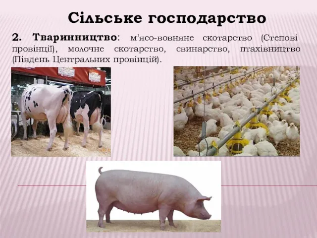 Сільське господарство 2. Тваринництво: м’ясо-вовняне скотарство (Степові провінції), молочне скотарство, свинарство, птахівництво (Південь Центральних провінцій).