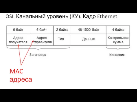 OSI. Канальный уровень (КУ). Кадр Ethernet MAC адреса