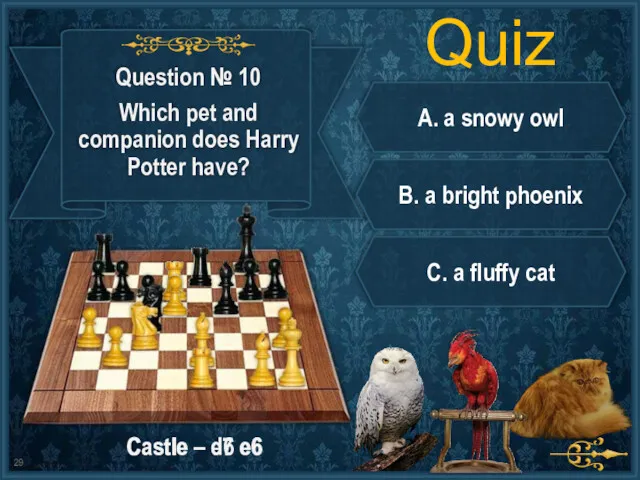 Quiz A. a snowy owl B. a bright phoenix C.
