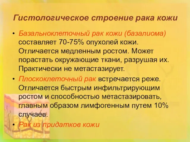 Гистологическое строение рака кожи Базальноклеточный рак кожи (базалиома) составляет 70-75%