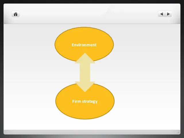 Environment Firm strategy