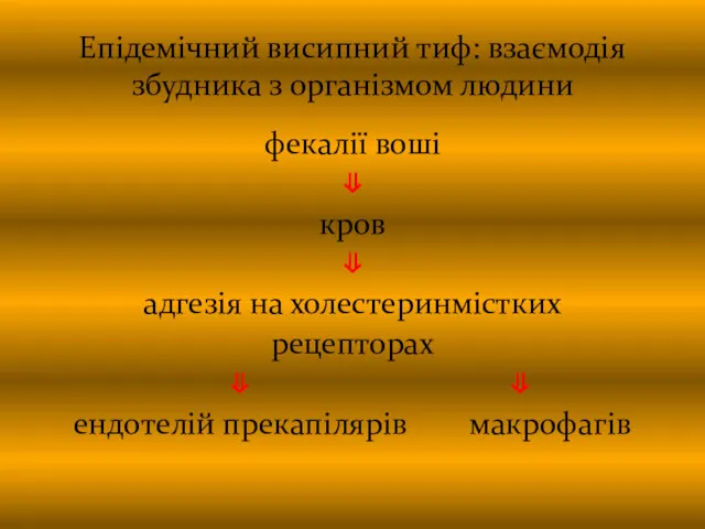 Епідемічний висипний тиф: взаємодія збудника з організмом людини фекалії воші