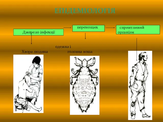 сприятливий організм ЕПІДЕМІОЛОГІЯ перенощик Джерело інфекції одежна і Хвора людина головна воша