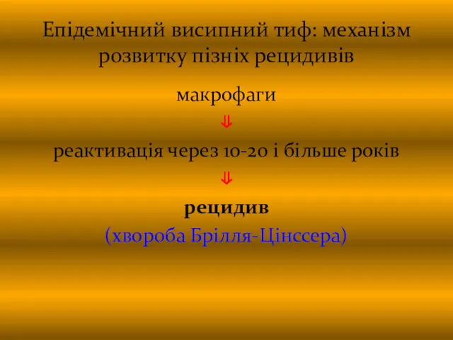 Епідемічний висипний тиф: механізм розвитку пізніх рецидивів макрофаги ⇓ реактивація