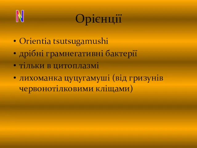 Орієнції Orientia tsutsugamushi дрібні грамнегативні бактерії тільки в цитоплазмі лихоманка цуцугамуші (від гризунів червонотілковими кліщами) N