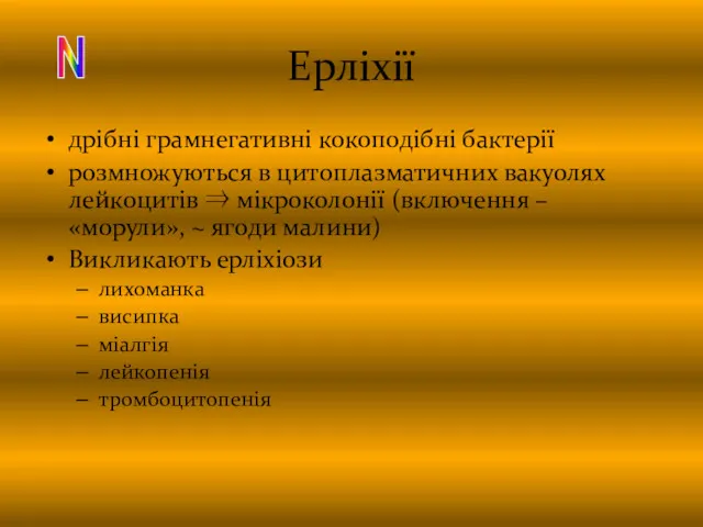 Ерліхії дрібні грамнегативні кокоподібні бактерії розмножуються в цитоплазматичних вакуолях лейкоцитів