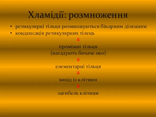 Хламідії: розмноження ретикулярні тільця розмножуються бінарним діленням конденсація ретикулярних тілець