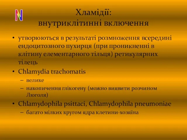 Хламідії: внутриклітинні включення утворюються в результаті розмноження всередині ендоцитозного пухирця