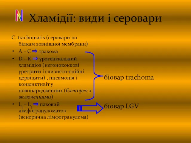 Хламідії: види і серовари C. trachomatis (серовари по білкам зовнішної